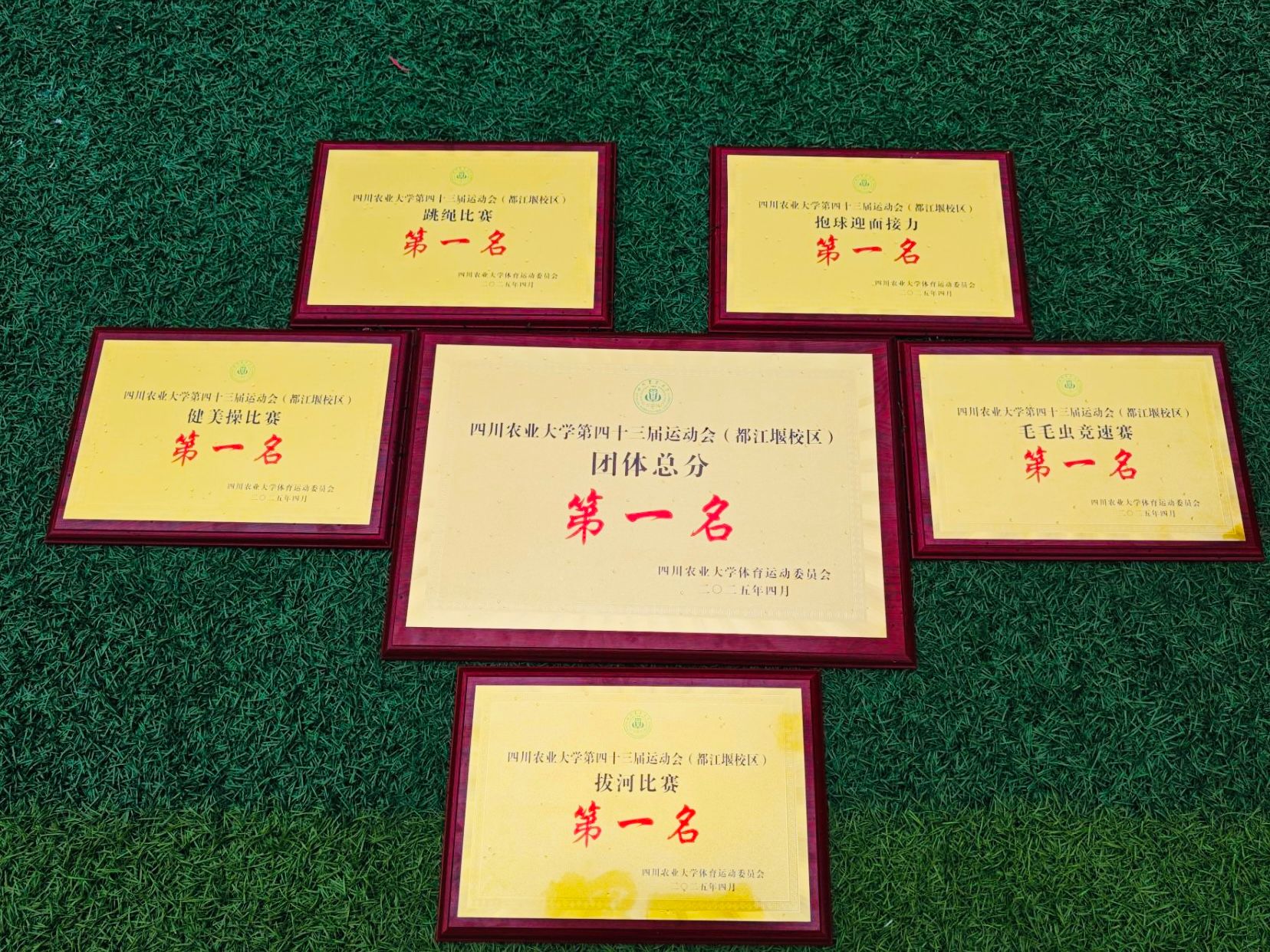 beats365唯一官网入口官网